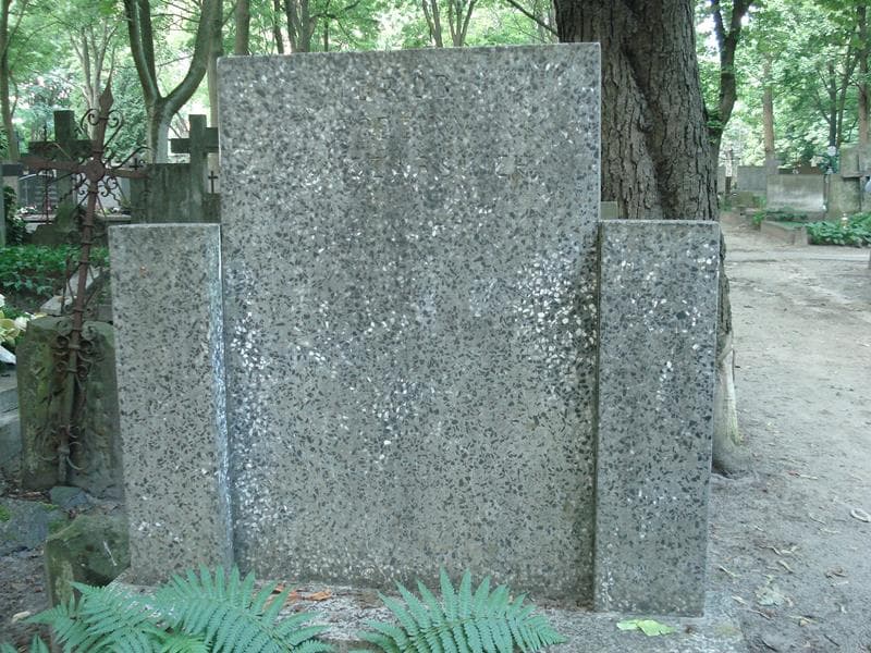 Zdjęcie grobu Manczarscy (1)