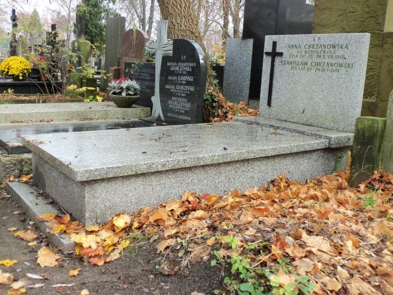 Zdjęcie grobu Stanisław Chrzanowski (1)