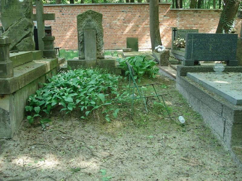 Zdjęcie grobu: Pole Grobowe