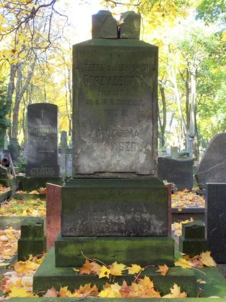 Zdjęcie grobu Adam Strzyżewski (2)