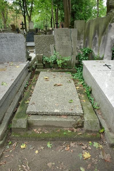Zdjęcie grobu Wacław Truksa (1)
