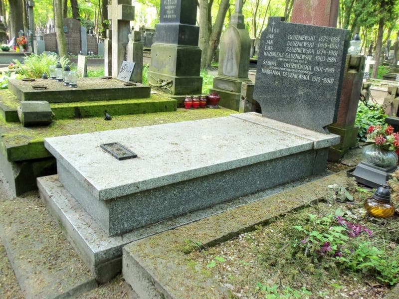Zdjęcie grobu Jan Dłużniewski (1)