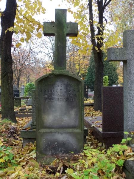 Zdjęcie grobu Franciszka Brzozowska (2)