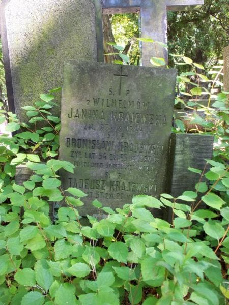 Zdjęcie grobu Bronisław Krajewski (2)