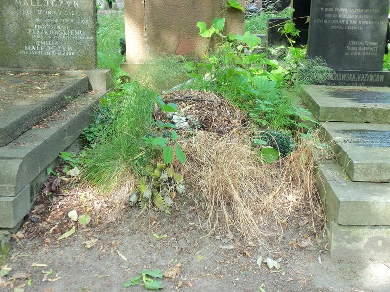 Zdjęcie grobu: Stanisław Myśliński