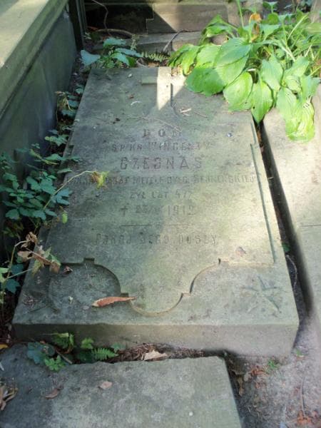 Zdjęcie grobu Wincenty Czesnas (2)