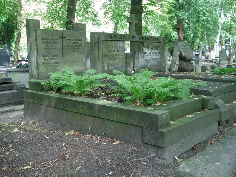 Zdjęcie grobu Katarzyna Domańska (1)