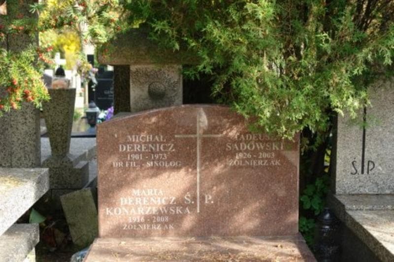 Zdjęcie grobu Michał Derenicz (2)