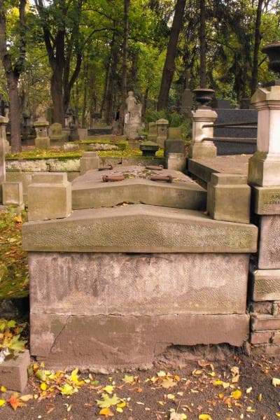 Zdjęcie grobu: Felicya Młocka