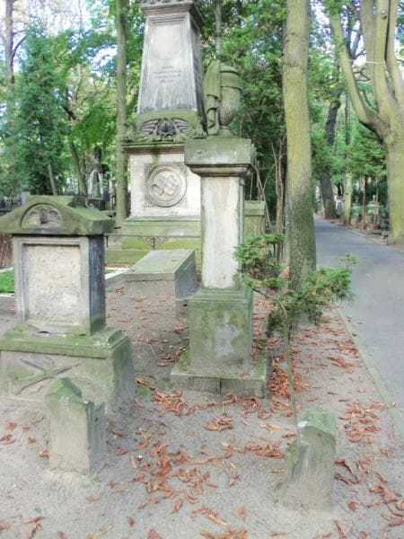 Zdjęcie grobu Antonina Herkner (1)