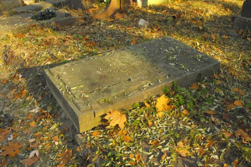 Zdjęcie grobu Zdzisław Janiszowski (2)