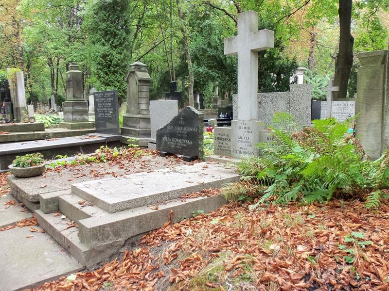 Zdjęcie grobu Nika Lisowska (1)