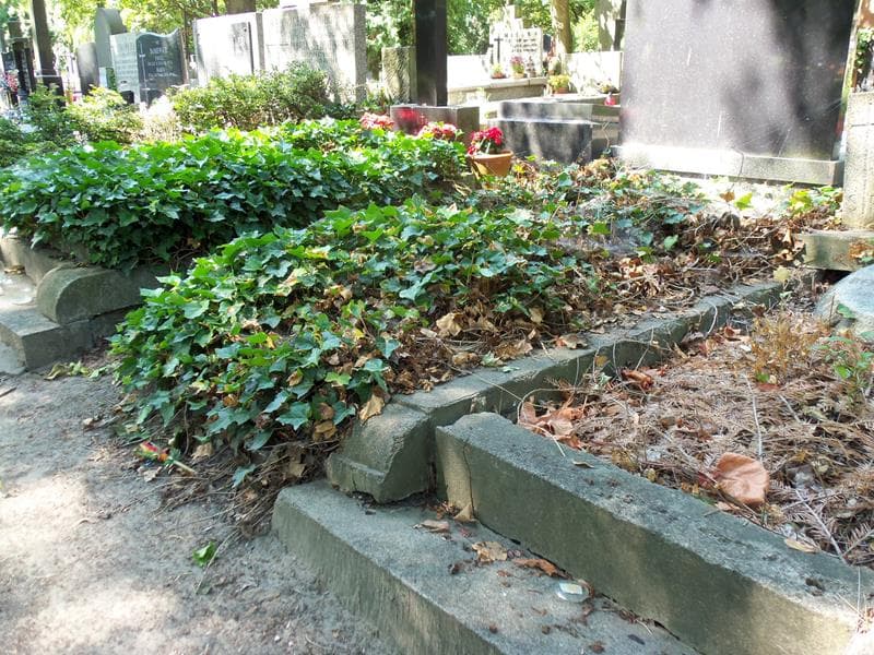 Zdjęcie grobu Anonim (1)