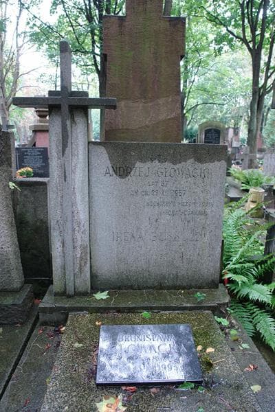 Zdjęcie grobu Andrzej Głowacki (2)