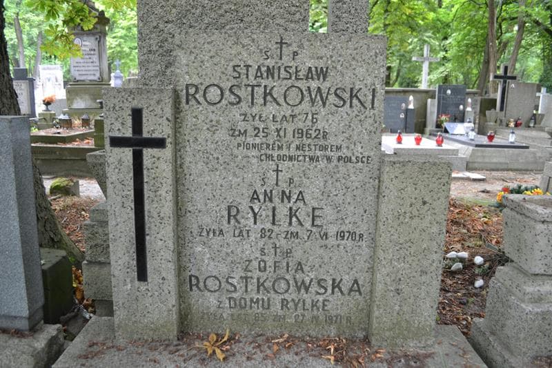 Zdjęcie grobu Anna Rylke (2)