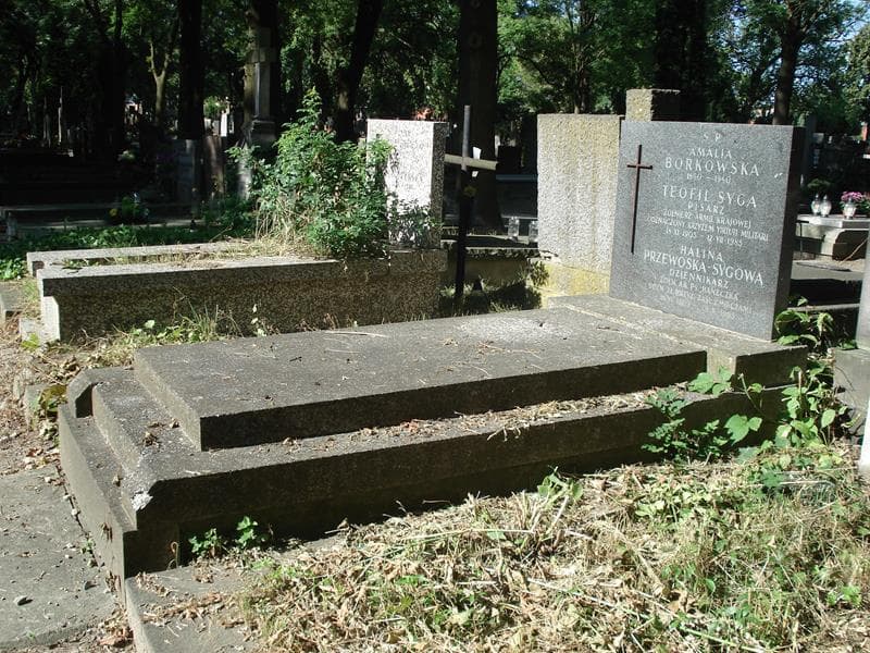 Zdjęcie grobu: Amalia Borkowska