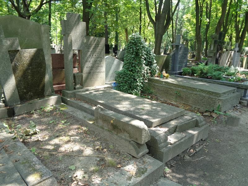 Zdjęcie grobu: Alfred Lenc