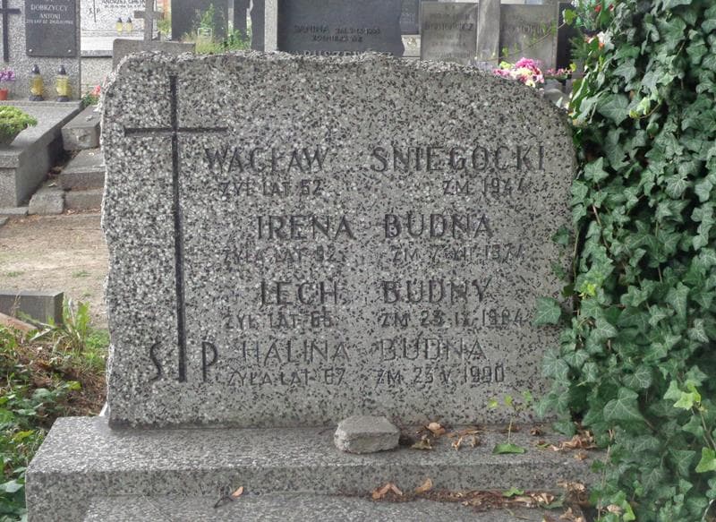 Zdjęcie grobu Irena Budna (2)