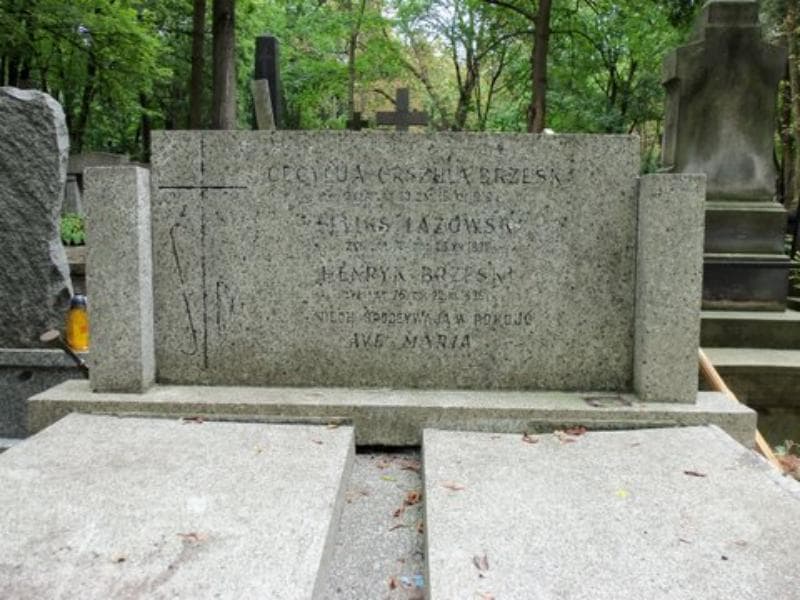 Zdjęcie grobu Henryk Brzeski (2)