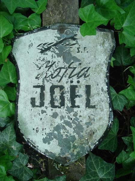 Zdjęcie grobu Zofia Joel (1)