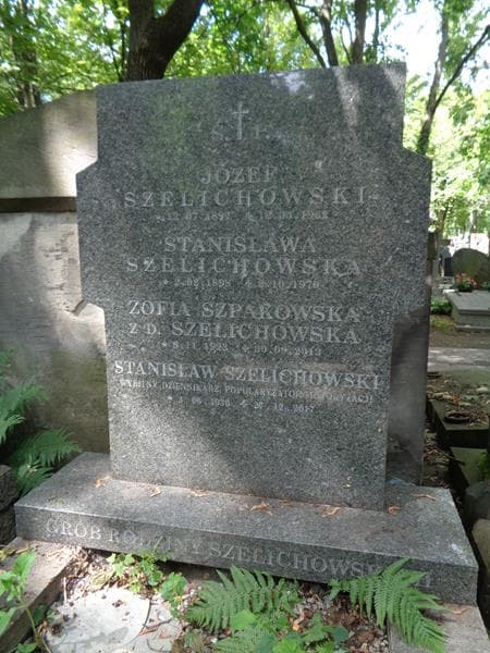 Zdjęcie grobu Stanisława Szelichowska (2)