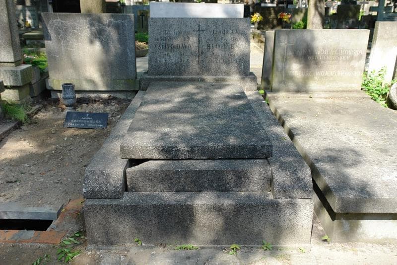 Zdjęcie grobu Janina Żmijdowa (1)