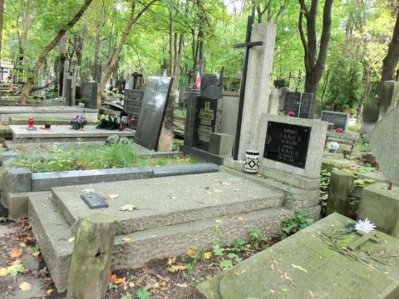 Zdjęcie grobu Irena Janus (1)