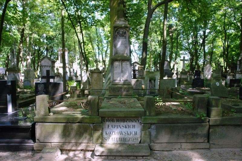 Zdjęcie grobu Walery Kozłowski (1)