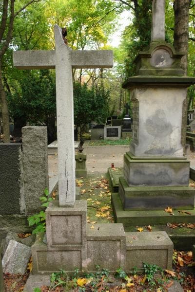 Zdjęcie grobu Marian Wołowski (2)