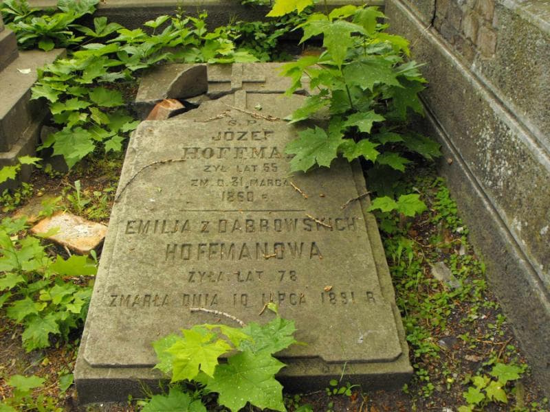 Zdjęcie grobu Józef Hoffman (1)