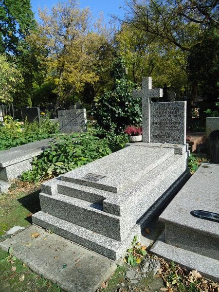 Zdjęcie grobu Aleksy Pieszczurykow (1)