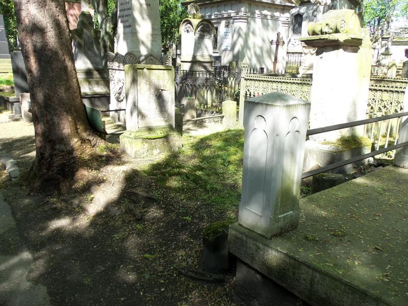 Zdjęcie grobu Alexander Leskiewicz (1)