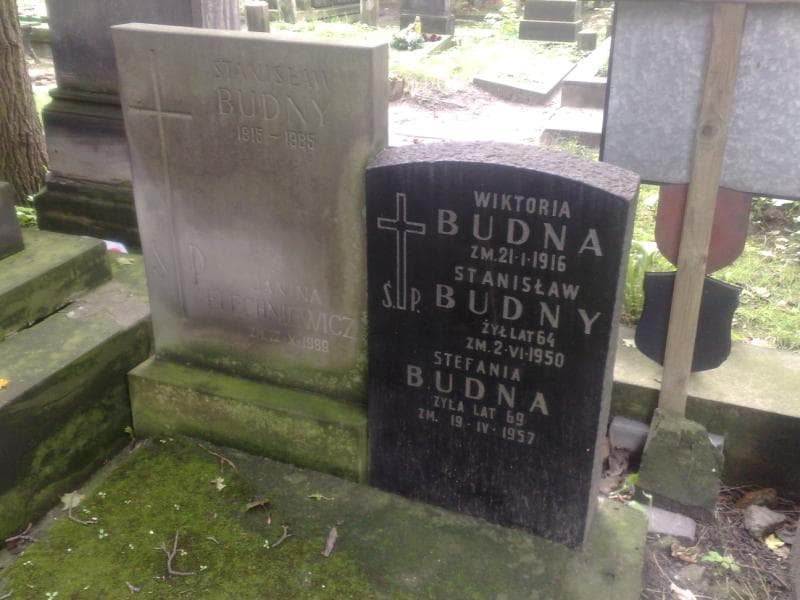 Zdjęcie grobu Stefania Budna (1)