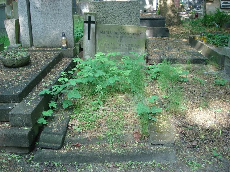 Zdjęcie grobu: Maria Kustosz