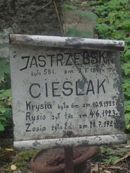 Zdjęcie grobu Zosia Cieślak (2)