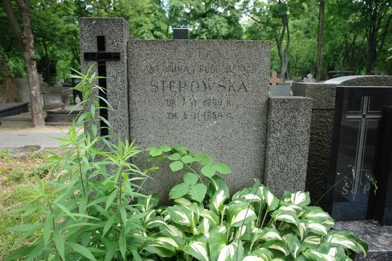 Zdjęcie grobu Antonina Stępowska (2)