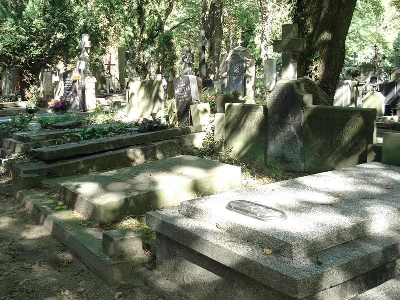 Zdjęcie grobu Karol Wiktor Jankowski (1)