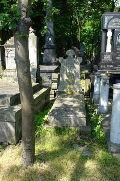 Zdjęcie grobu: Zygmunt Maciejowski