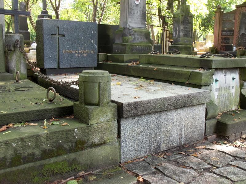 Zdjęcie grobu Zofia Wójcicka (1)