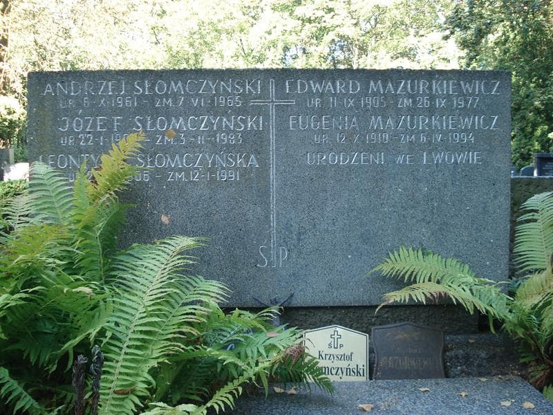 Zdjęcie grobu Andrzej Słomczyński (2)