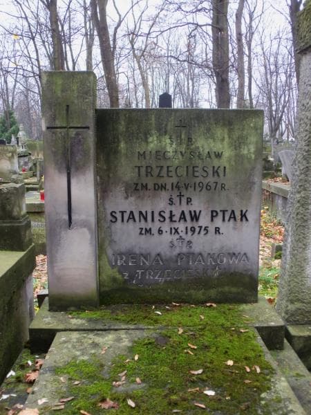 Zdjęcie grobu Mieczysław Trzecieski (2)