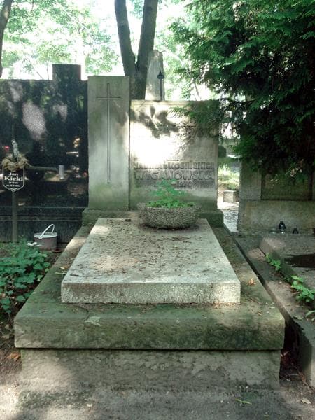 Zdjęcie grobu: Janina Wyganowska