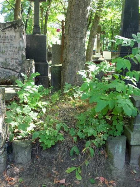 Zdjęcie grobu: Rozalja Waszkowiak
