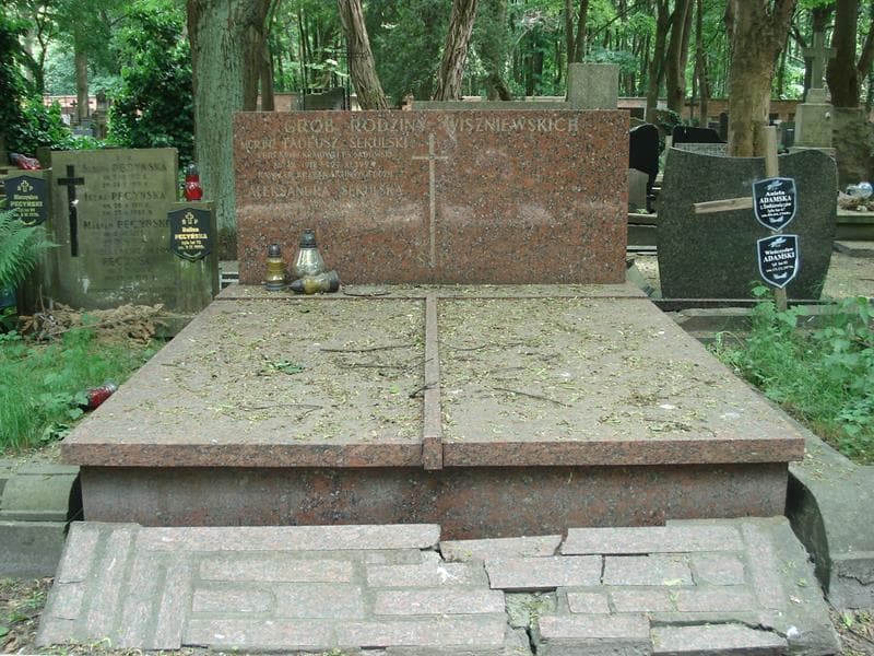 Zdjęcie grobu: Tadeusz Sekulski