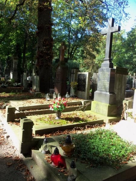 Zdjęcie grobu Stanisława Lipczyńska (1)