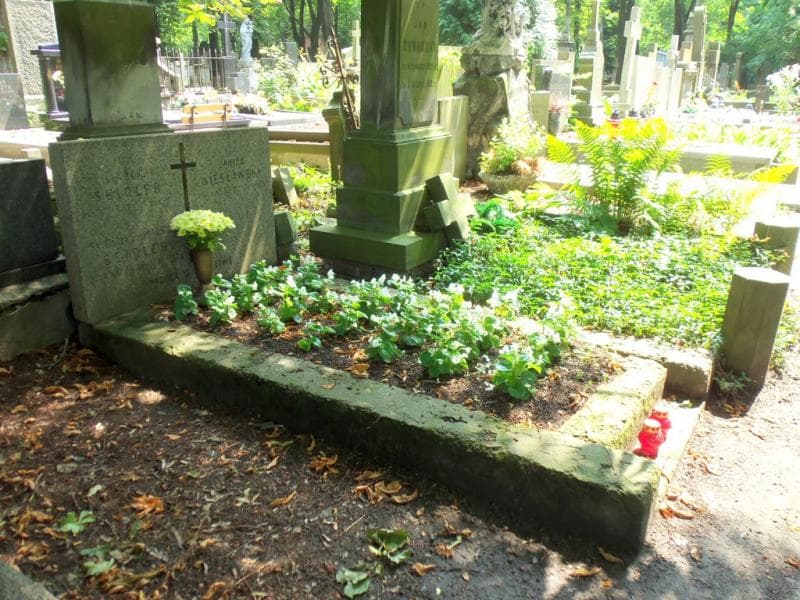 Zdjęcie grobu Franciszka Seidler (1)