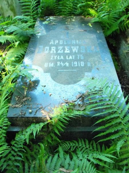Zdjęcie grobu Apolonija Borzewska (2)