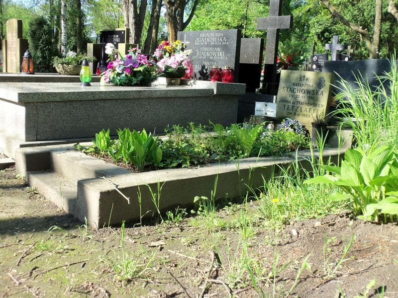 Zdjęcie grobu Bronisław Tetzlaff (1)