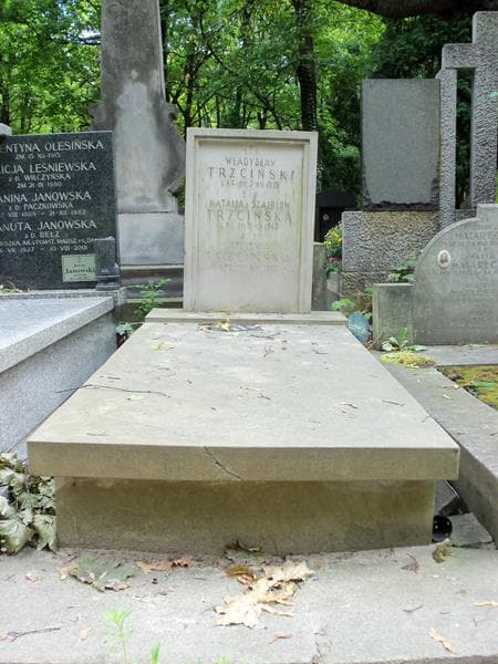 Zdjęcie grobu: Władysław Trzciński