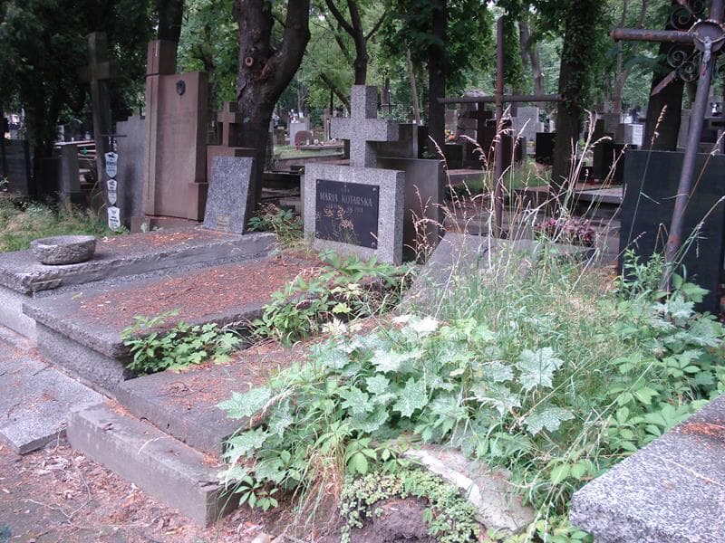 Zdjęcie grobu: Józef Olszewski